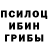 Галлюциногенные грибы MAGIC MUSHROOMS nitish naidu