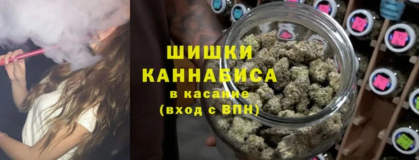 твердый Алзамай