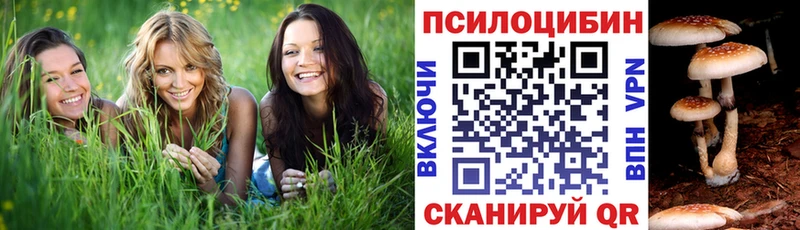 Галлюциногенные грибы Psilocybine cubensis  Ковылкино 